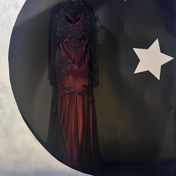 Beautiful Beaded Meshed Dress set - Picture 5 of 10